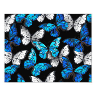 Dunkles Nahtloses Muster mit blauen Schmetterlinge Fotodruck