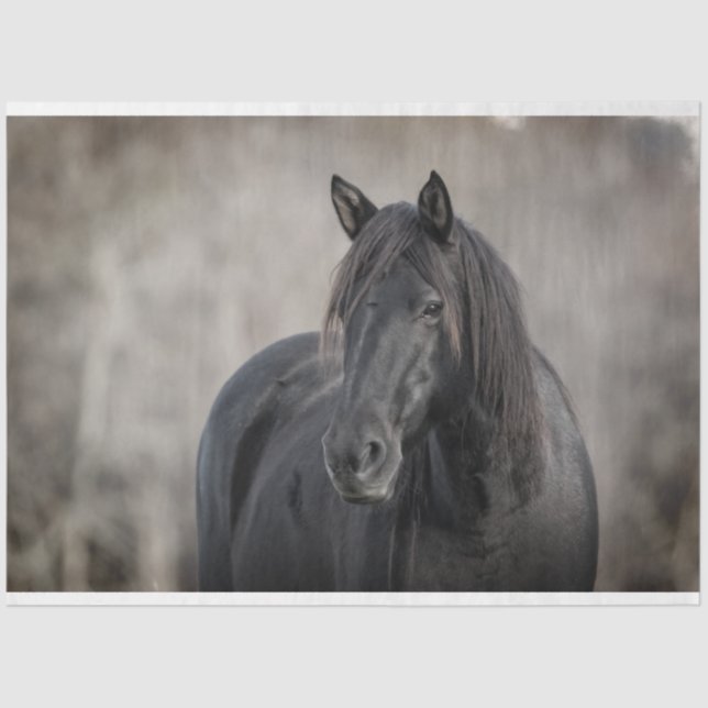 Dunkles Pferd Seidenpapier (Vorderseite)