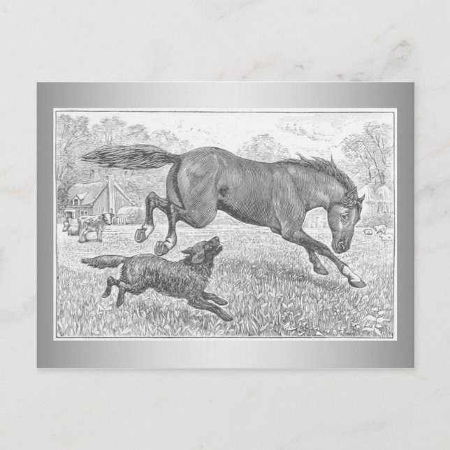 Dunkles Pferd und Hund Postkarte (Vorderseite)