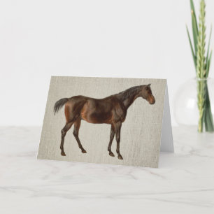 Dunkles Pferd Vintage illustrierte Kunst Notizkart Karte