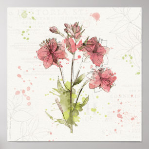 Dunkles rosa mit Blumenspritzen Poster