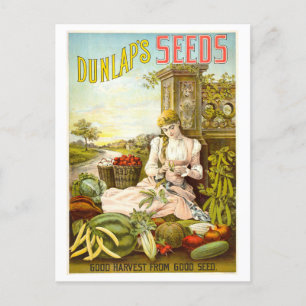 Dunlap's Vintage pflanzliche Saatgutwerbung Postkarte