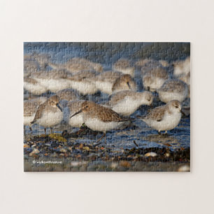 Dunlins und Sanderlings am Strand Puzzle