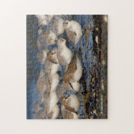 Dunlins und Sanderlings am Strand Puzzle