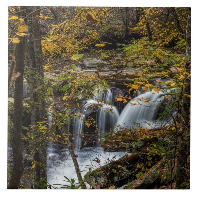 Dunloup Creek Falls | West Virginia Fliese (Vorderseite)