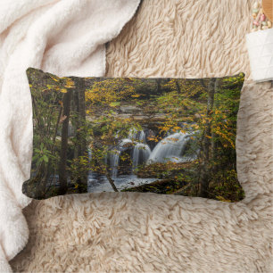 Dunloup Creek Falls West Virginia Lendenkissen
