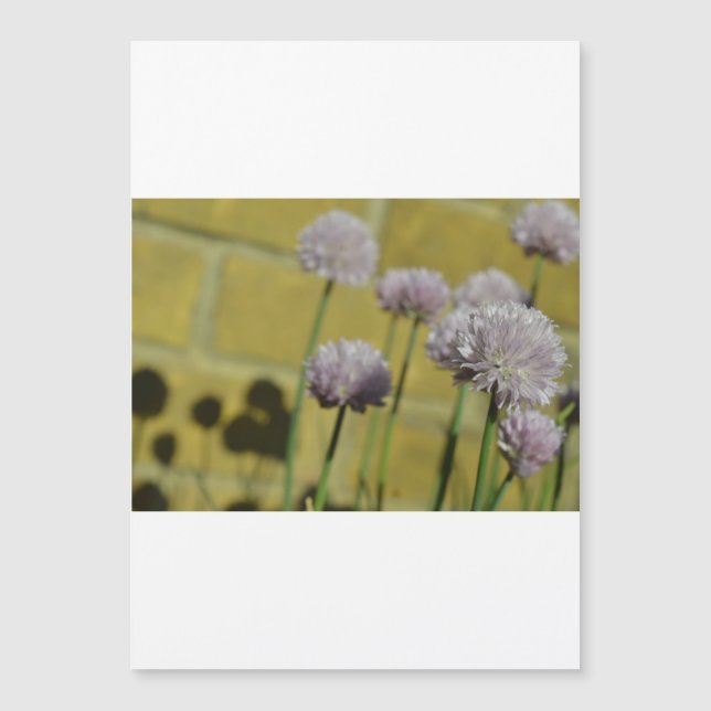 Dünne Magnetkarte (Vorderseite)