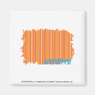 Dünne Streifen Orange 2 Magnet