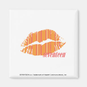 Dünne Streifen orange Magnet