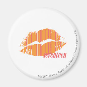 Dünne Streifen orange Magnet
