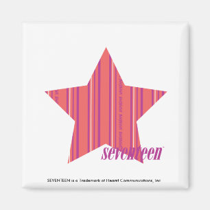 Dünne Streifen Pink 4 Magnet