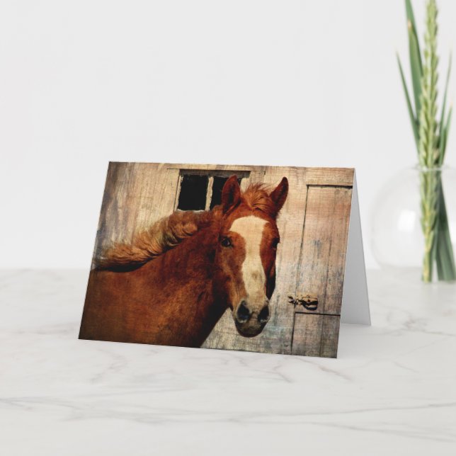 Dunnit, Geburtstag Karte (Vorderseite)