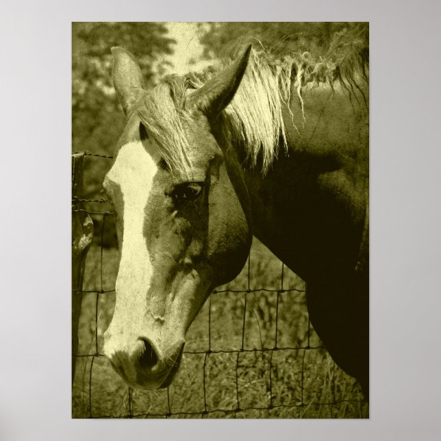 Dunnit in Sepia Tint Poster (Vorne)