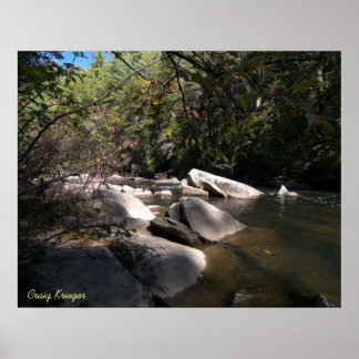 Dupont River in NC Poster