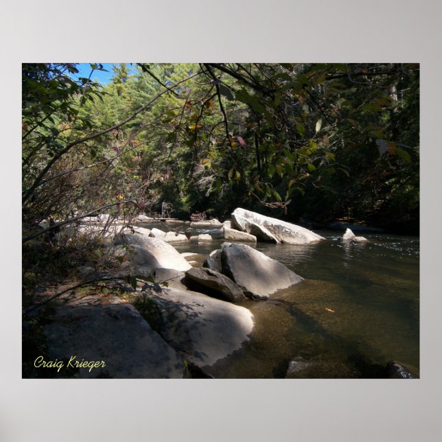 Dupont River in NC Poster (Vorne)