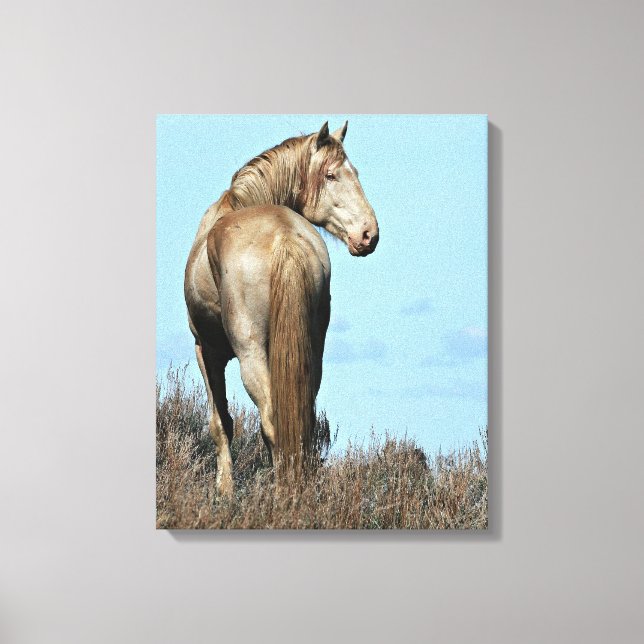Durango Canvas Print Leinwanddruck (Vorderseite)