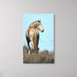 Durango Canvas Print Leinwanddruck