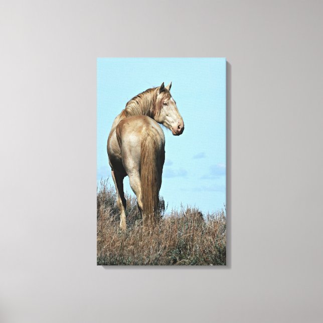 Durango Canvas Print Leinwanddruck (Vorderseite)