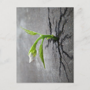 durch Beton Postkarte