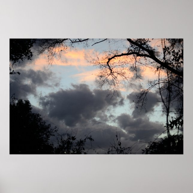 Durch das Baumposter Poster (Vorne)