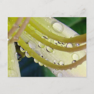 Durch das Blickfeld Postkarte