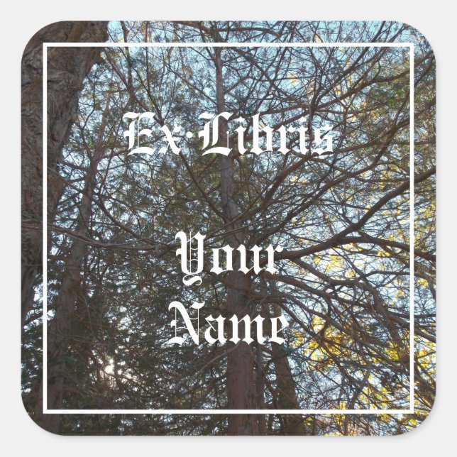 Durch das Buchzeichen Verzweigungen Quadratischer Aufkleber (Vorderseite)