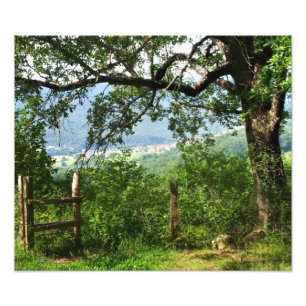 Durch das Laub Fotodruck