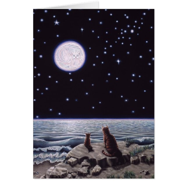 Durch das Licht des Katzen-Fisch-Mondes (Vorne)