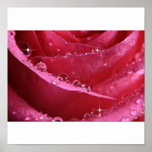 durch das Licht Poster