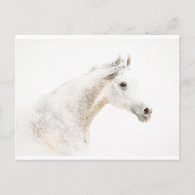 Durch den Nebel Postkarte (Vorderseite)