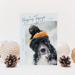 Durch den Winter Hund Foto Blauer Weihnachten