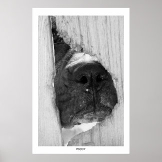 Durch den Zaun Poster