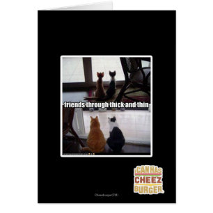 Durch dick und dünn