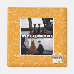 Durch dick und dünn magnet