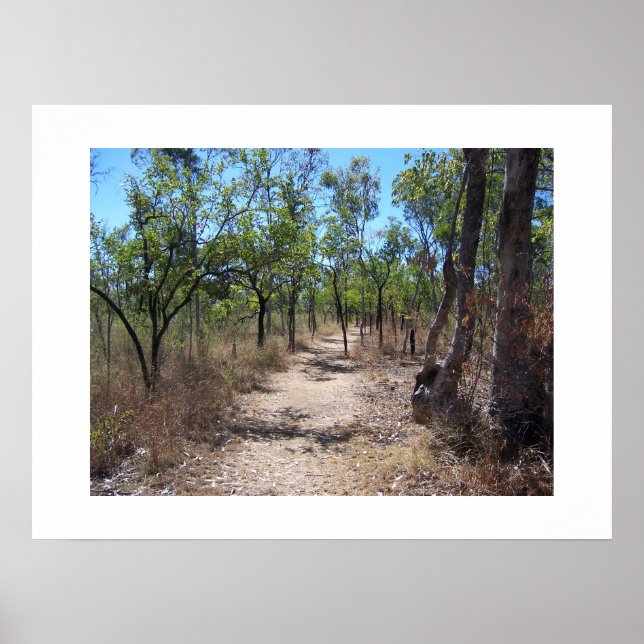 Durch die Bäume Australien Farbfotografie Poster (Vorne)