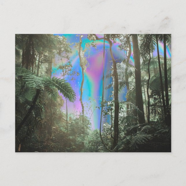 Durch die Bäume Postkarte (Vorderseite)