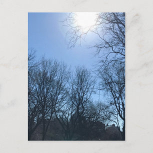 Durch die Bäume Riverside Park New York City Sun Postkarte