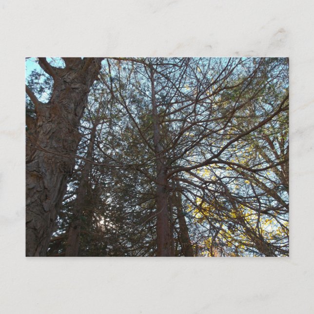 Durch die Branchen Postkarte (Vorderseite)