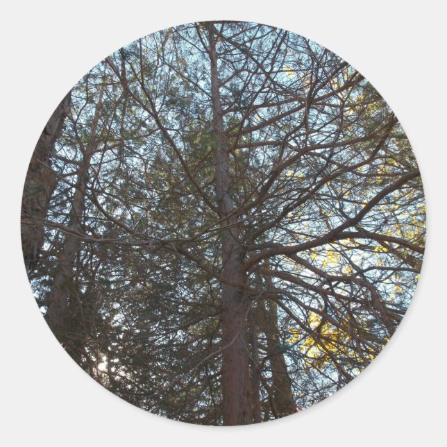 Durch die Branchen Runder Aufkleber (Vorderseite)