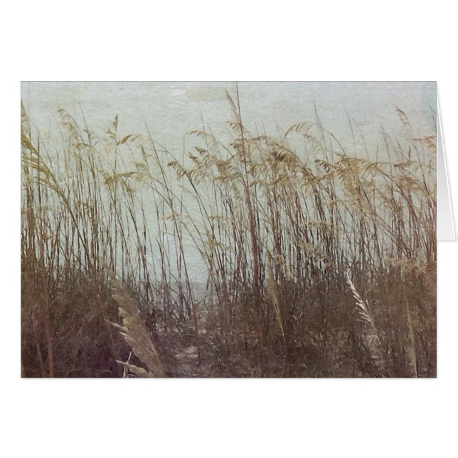 Durch die Dünen II (Vorderseite (Horizontal))