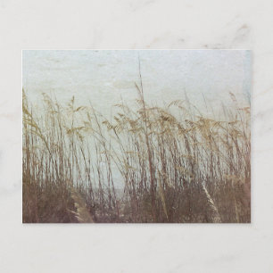 Durch die Dünen II Postkarte