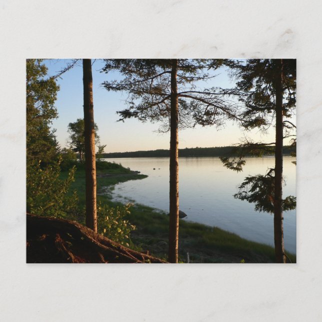 Durch die Pines Postkarte (Vorderseite)