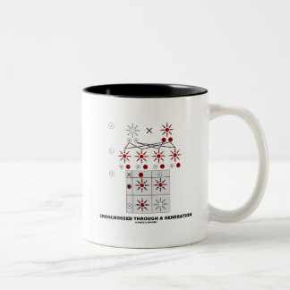 Durch eine Generation (Punnett-Platz) gerissen Zweifarbige Tasse