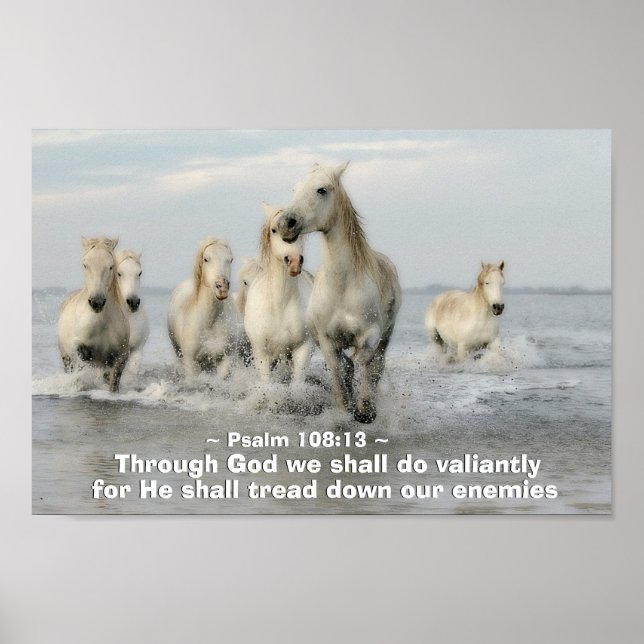 Durch Gott werden wir Valitly Psalm 108:13 tun Poster (Vorne)