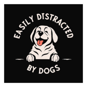 Durch Hunde leicht ablenkbar Fotodruck