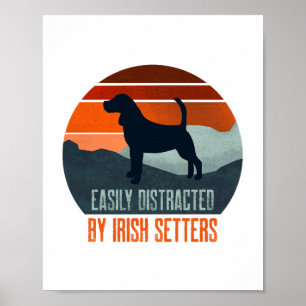 Durch Irish Setter leicht abgelenkt beim Hundespaz Poster