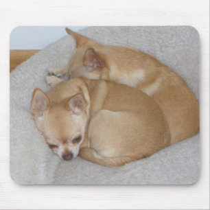 DURCH niedliche Chihuahua-Welpen-Hunde Mousepad