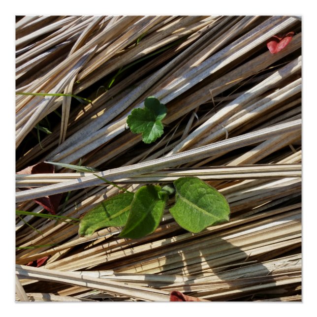 Durchbruch Poster (Vorderseite)