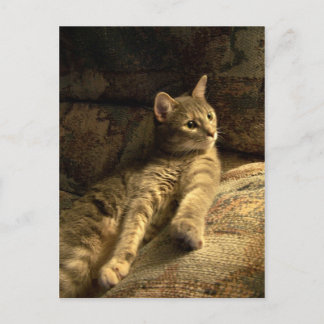 Durchdacht Postkarte