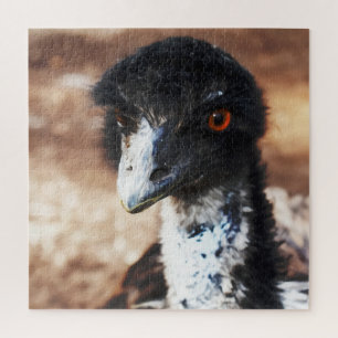 Durchdringende Augen des Outback Puzzle
